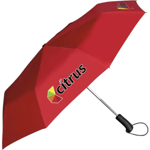 Whimsical Auto-Open Compact Umbrella Red